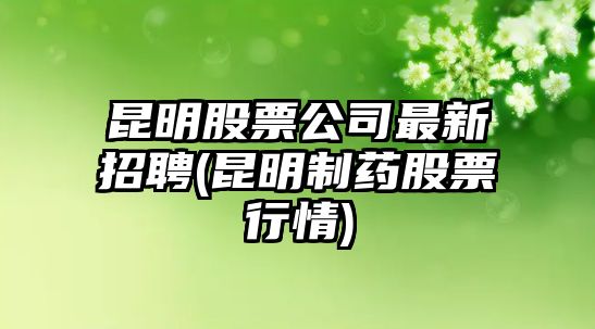 昆明股票公司最新招聘(昆明制藥股票行情)