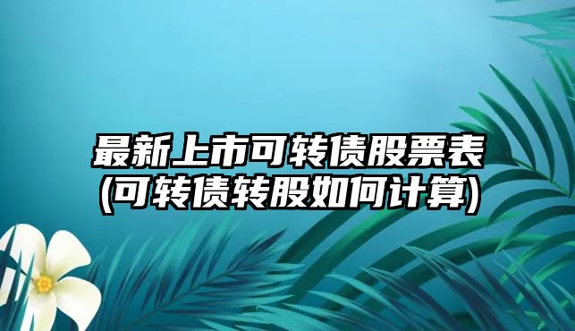 最新上市可轉債股票表(可轉債轉股如何計算)