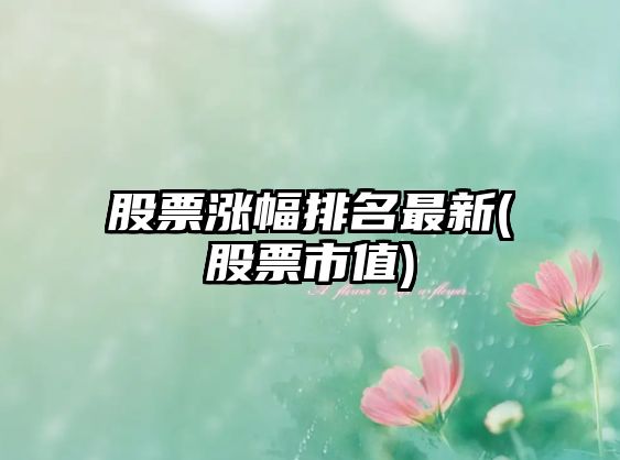 股票漲幅排名最新(股票市值)