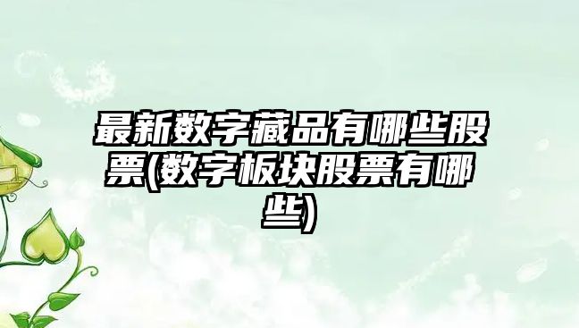 最新數字藏品有哪些股票(數字板塊股票有哪些)