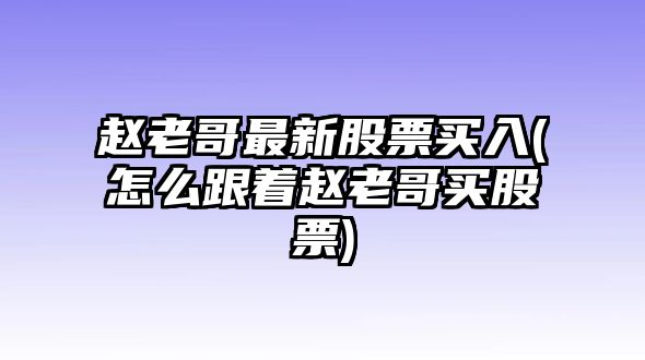 趙老哥最新股票買(mǎi)入(怎么跟著(zhù)趙老哥買(mǎi)股票)