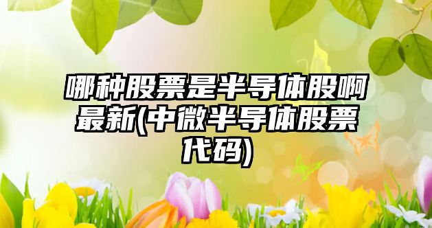 哪種股票是半導體股啊最新(中微半導體股票代碼)