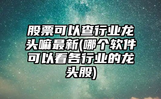 股票可以查行業(yè)龍頭嘛最新(哪個(gè)軟件可以看各行業(yè)的龍頭股)