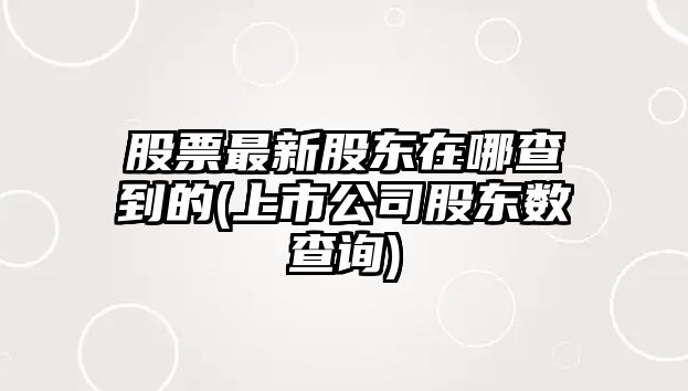 股票最新股東在哪查到的(上市公司股東數查詢(xún))