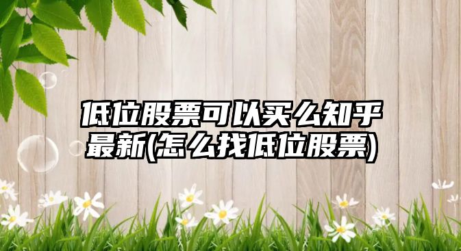 低位股票可以買(mǎi)么知乎最新(怎么找低位股票)