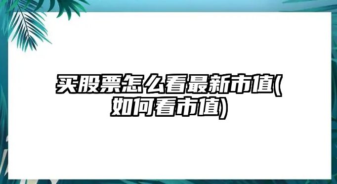 買(mǎi)股票怎么看最新市值(如何看市值)