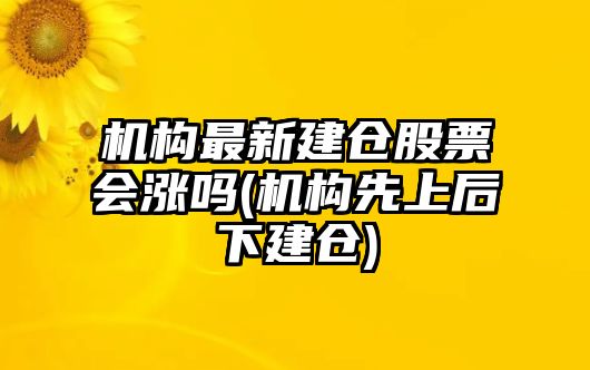 機構最新建倉股票會(huì )漲嗎(機構先上后下建倉)