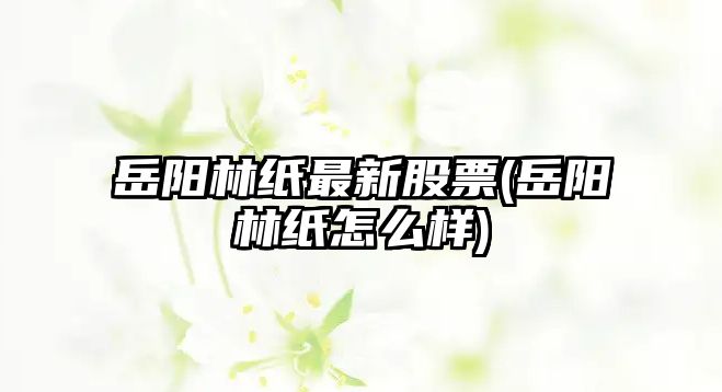 岳陽(yáng)林紙最新股票(岳陽(yáng)林紙怎么樣)