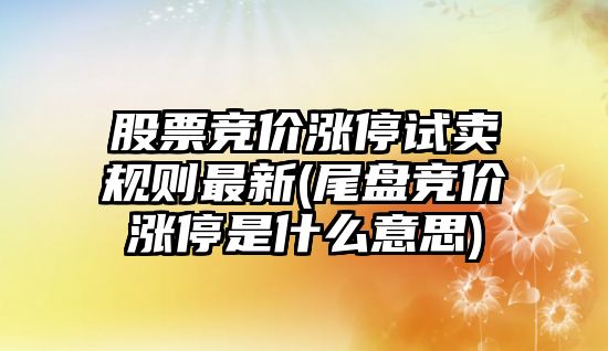 股票競價(jià)漲停試賣(mài)規則最新(尾盤(pán)競價(jià)漲停是什么意思)