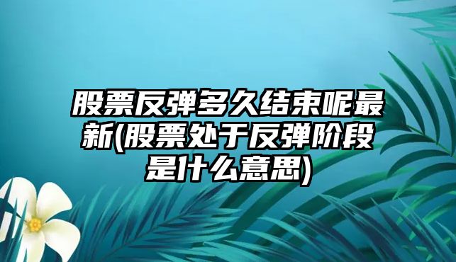 股票反彈多久結束呢最新(股票處于反彈階段是什么意思)