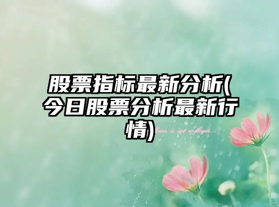 股票指標最新分析(今日股票分析最新行情)