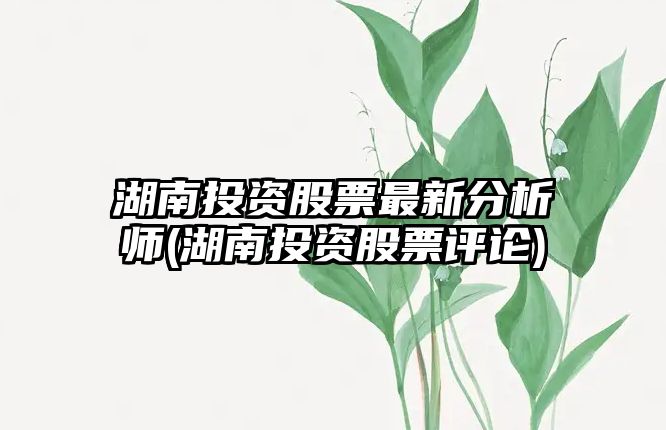 湖南投資股票最新分析師(湖南投資股票評論)