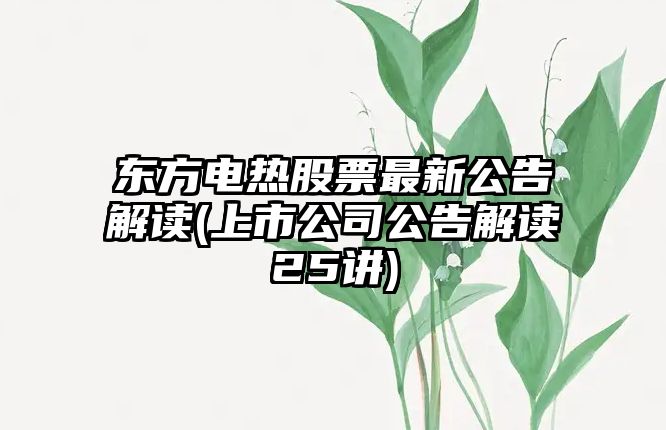 東方電熱股票最新公告解讀(上市公司公告解讀25講)