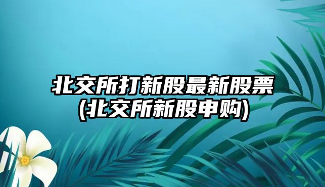 北交所打新股最新股票(北交所新股申購)