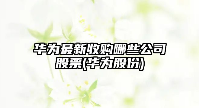 華為最新收購哪些公司股票(華為股份)