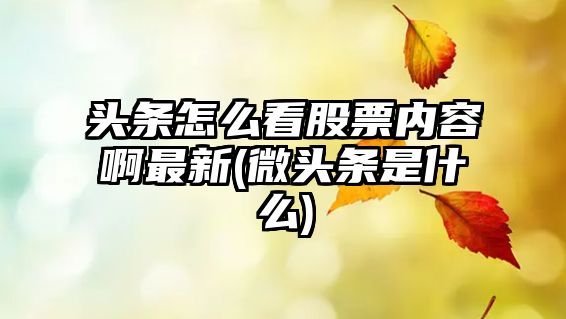 頭條怎么看股票內容啊最新(微頭條是什么)