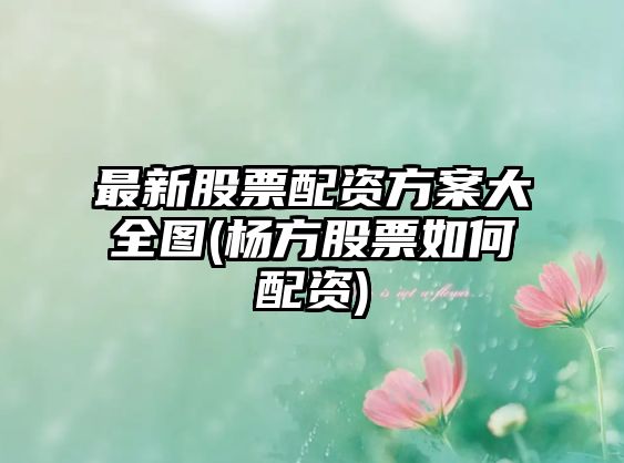 最新股票配資方案大全圖(楊方股票如何配資)