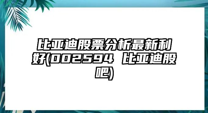 比亞迪股票分析最新利好(002594 比亞迪股吧)