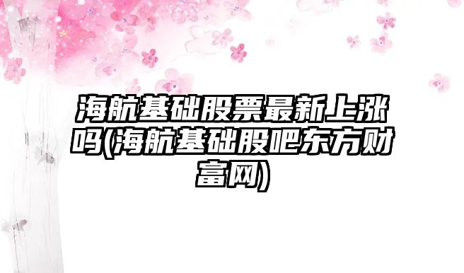 海航基礎股票最新上漲嗎(海航基礎股吧東方財富網(wǎng))