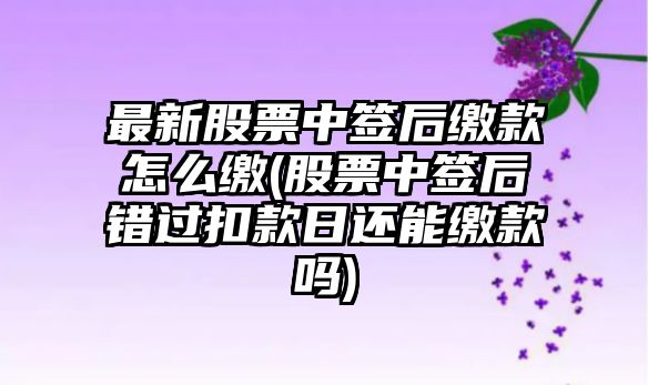 最新股票中簽后繳款怎么繳(股票中簽后錯過(guò)扣款日還能繳款嗎)