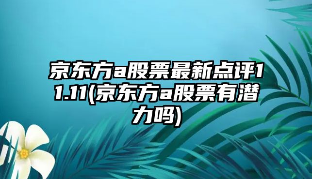 京東方a股票最新點(diǎn)評11.11(京東方a股票有潛力嗎)