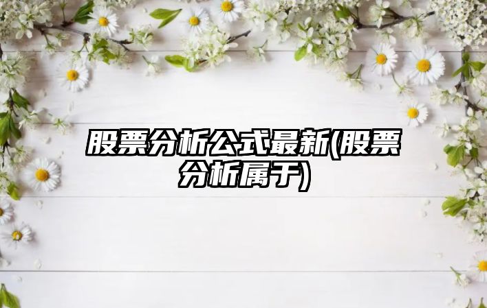 股票分析公式最新(股票分析屬于)