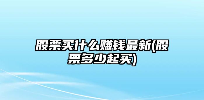 股票買(mǎi)什么賺錢(qián)最新(股票多少起買(mǎi))