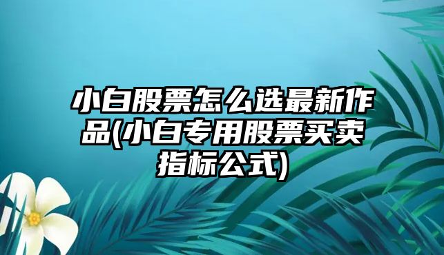 小白股票怎么選最新作品(小白專(zhuān)用股票買(mǎi)賣(mài)指標公式)