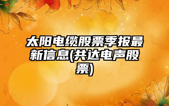 太陽(yáng)電纜股票季報最新信息(共達電聲股票)