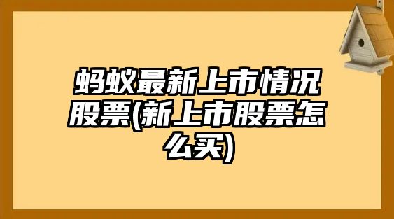 螞蟻最新上市情況股票(新上市股票怎么買(mǎi))