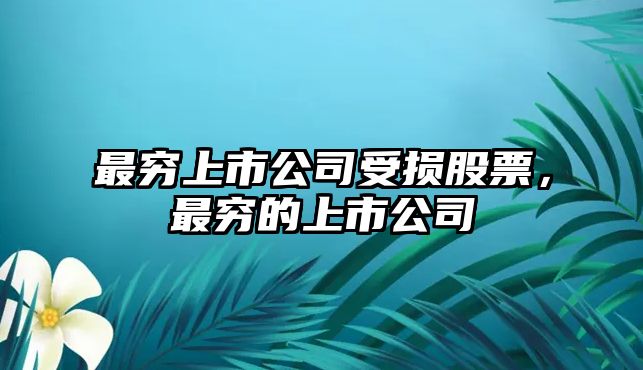 最窮上市公司受損股票，最窮的上市公司