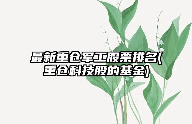 最新重倉軍工股票排名(重倉科技股的基金)