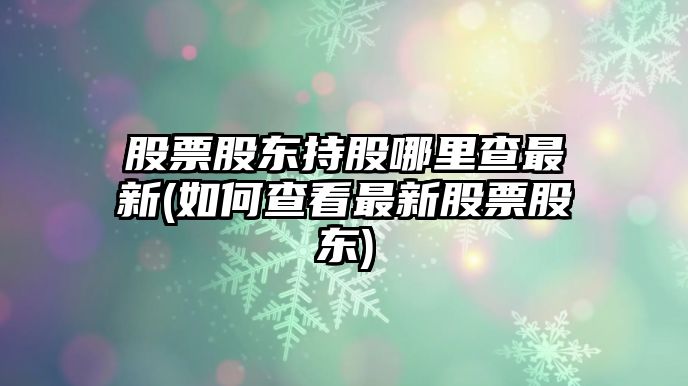 股票股東持股哪里查最新(如何查看最新股票股東)