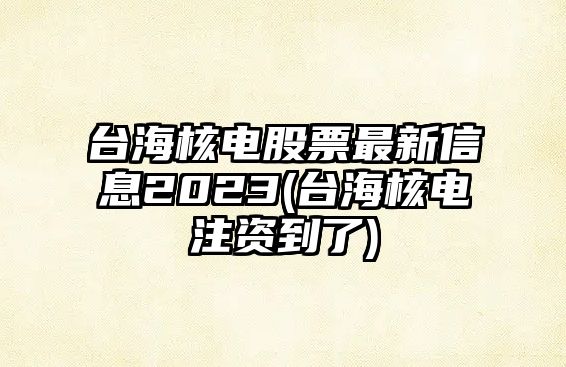 臺海核電股票最新信息2023(臺海核電注資到了)