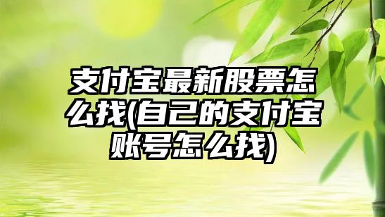 支付寶最新股票怎么找(自己的支付寶賬號怎么找)