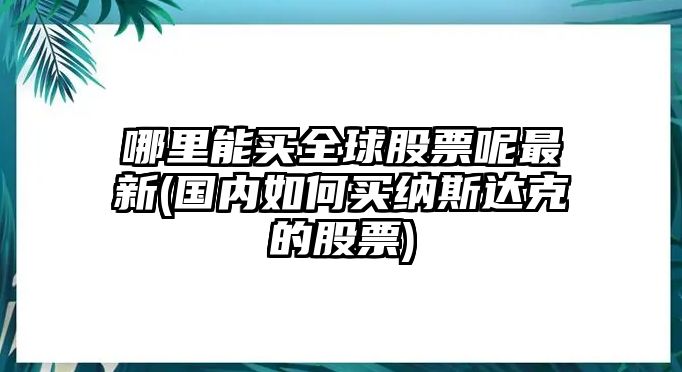 哪里能買(mǎi)全球股票呢最新(國內如何買(mǎi)納斯達克的股票)