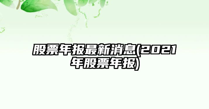 股票年報最新消息(2021年股票年報)