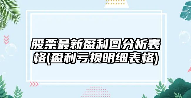 股票最新盈利圖分析表格(盈利虧損明細表格)