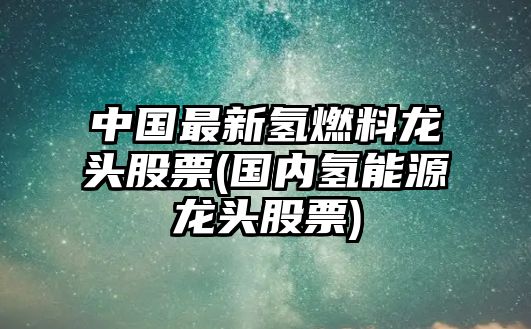 中國最新氫燃料龍頭股票(國內氫能源龍頭股票)