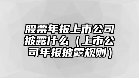 股票年報上市公司披露什么（上市公司年報披露規則）