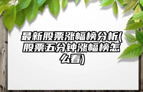 最新股票漲幅榜分析(股票五分鐘漲幅榜怎么看)