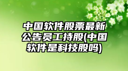 中國軟件股票最新公告員工持股(中國軟件是科技股嗎)