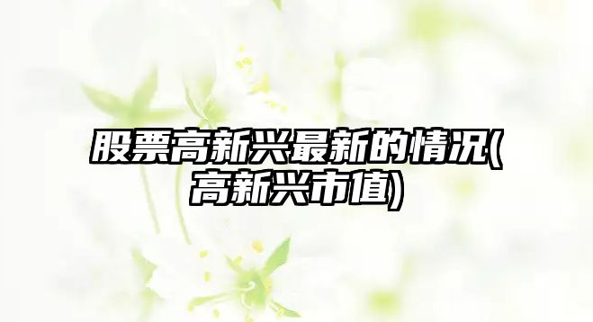 股票高新興最新的情況(高新興市值)