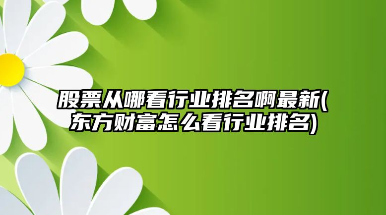 股票從哪看行業(yè)排名啊最新(東方財富怎么看行業(yè)排名)