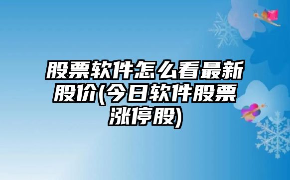 股票軟件怎么看最新股價(jià)(今日軟件股票漲停股)