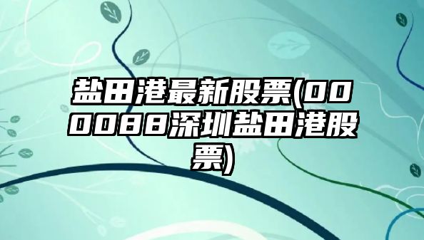 鹽田港最新股票(000088深圳鹽田港股票)