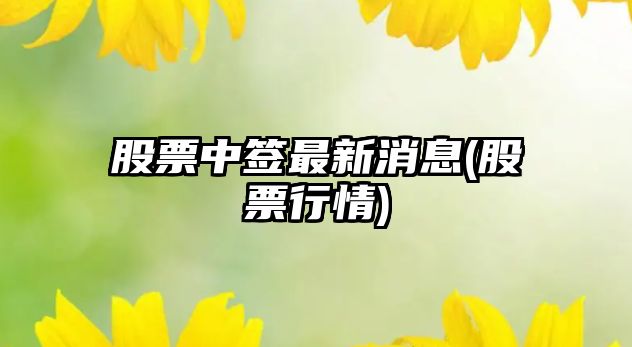 股票中簽最新消息(股票行情)