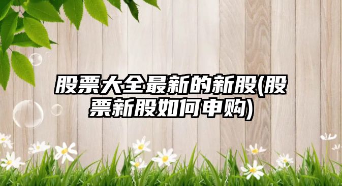 股票大全最新的新股(股票新股如何申購)