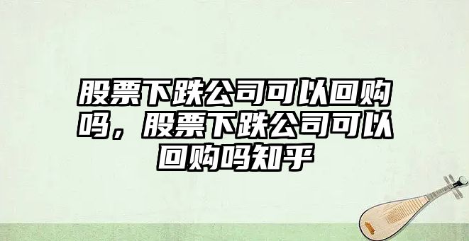 股票下跌公司可以回購嗎，股票下跌公司可以回購嗎知乎