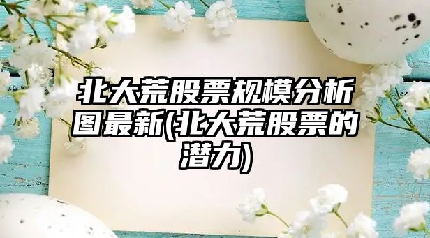 北大荒股票規模分析圖最新(北大荒股票的潛力)